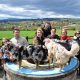 Ausflug zur Welpenschule Praktikanten und ihre Hunde auf dem Orientierungstisch