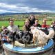 sortie école du chiot stagiaires et leurs chiens sur la table d'orientation