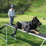 petit garçon qui dresse son chien couché école du chiot éduquer son chien