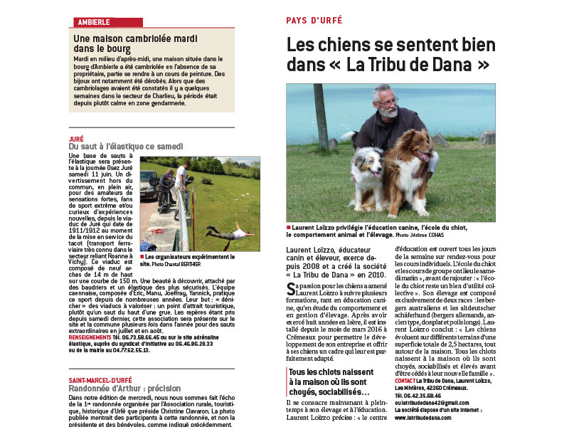 article dans le progrès sur l'élevage de chien de laurent loizzo éducateur canin