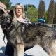 anne loizzo and an altdeutscher schäferhund dog trainer