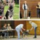 trophies for our dogs at the National Breeding Altdeutsche Schäferhunde - Oberhaslach