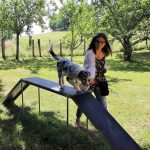 eine Hundehalterin mit ihrem Australian Shepherd-Welpen auf einer kleinen Brücke in der Welpenschule