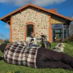 anne Loizzo with a chio in her arms and an altdeutscher schäferhund edux australian shepherds lying in the grass