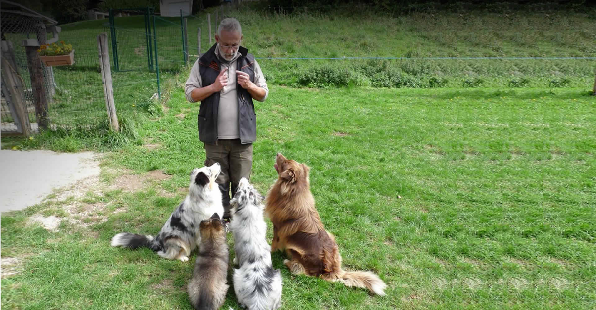 laurent Loizzo dog breeder surrounded by 4 australian shepherds from his australian shepherd farm