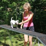 mistress and puppy on a small bridge puppy school canine educator