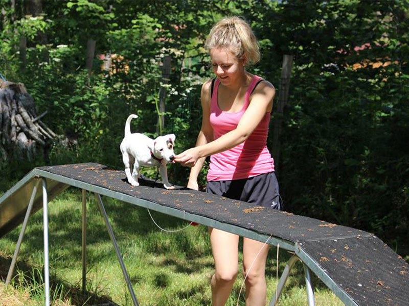 mistress and puppy on a small bridge puppy school canine educator