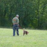 élevage de chien acheter un chien éduqué