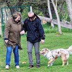 Zucht Australische Schäferhunde Welpenschule