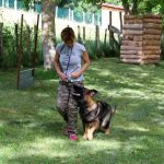 altdeutscher schäferhund kennel dog training