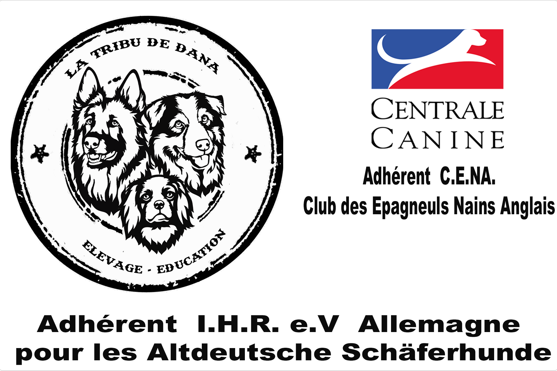 logo dla strony internetowejV11