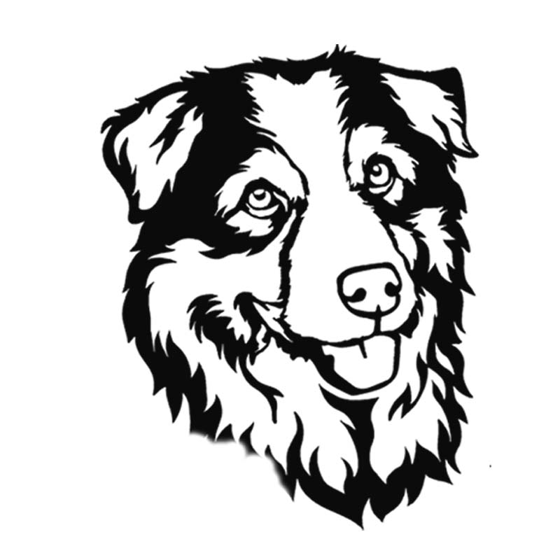 logo b aus