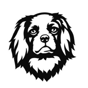ckc logo