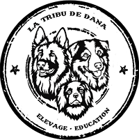 xx - test logo