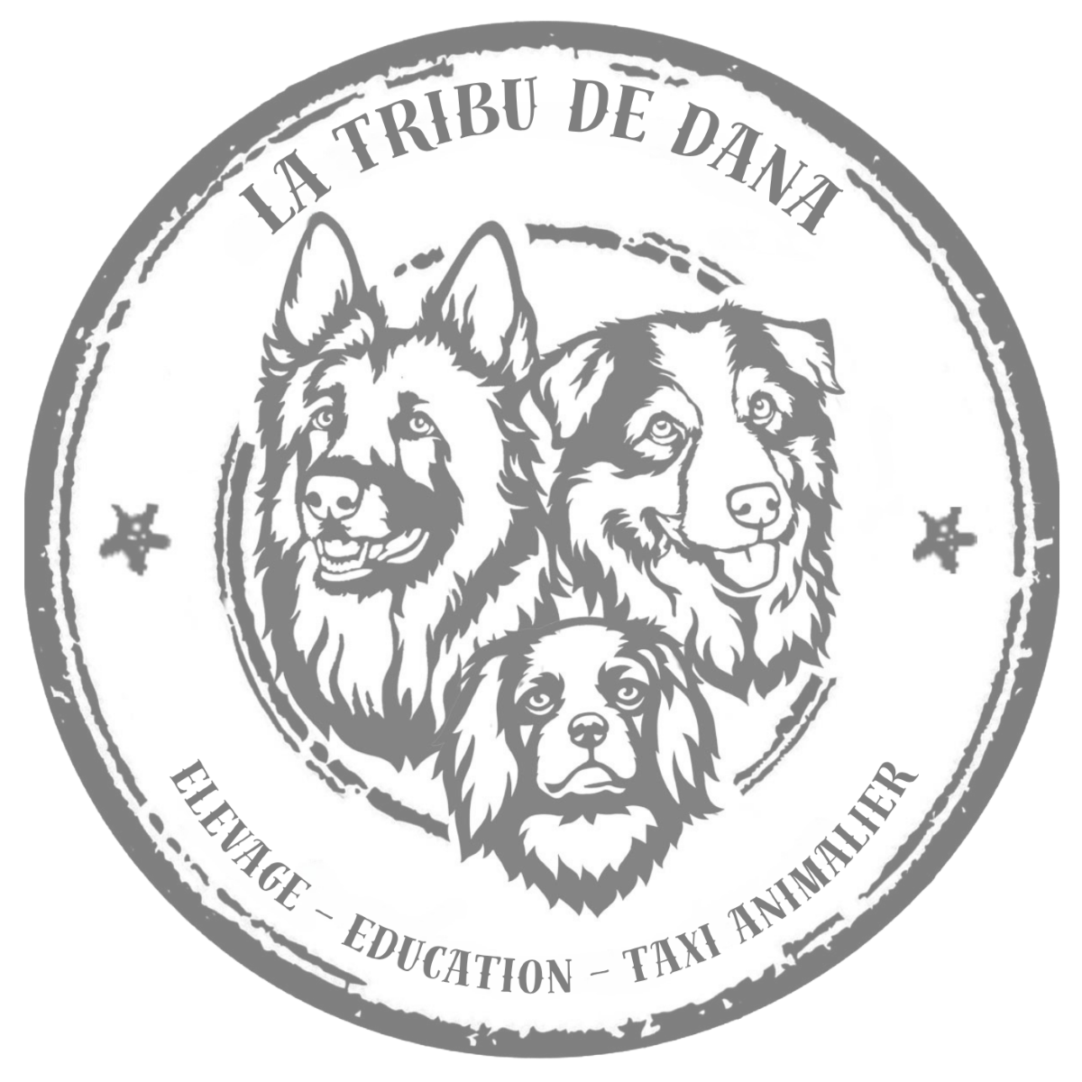Logo Tribu de Dana élevage de chien éducateur canin taxi animalier