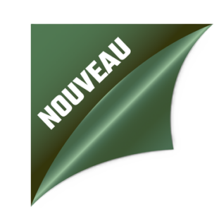 Accueil